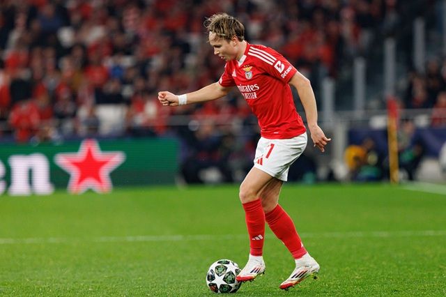 Copyright (c) 2025 Maciej Rogowski Photo/Shutterstock.