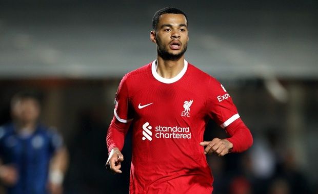 Copyright (c) 2024 ph.FAB/Shutterstock