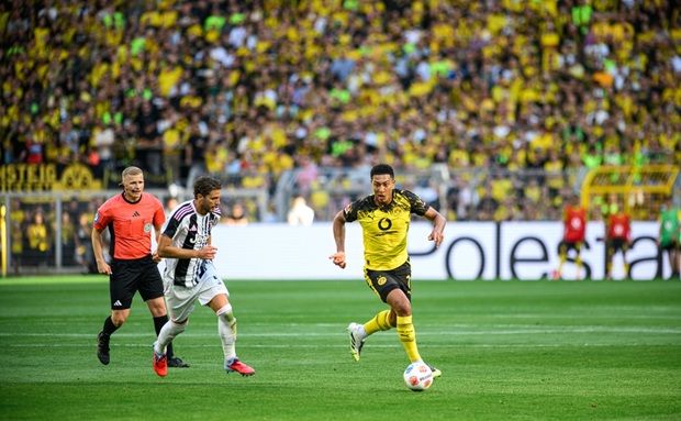 Copyright (c) 2025 Vitalii Vitleo/Shutterstock