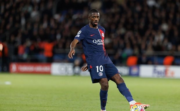 Copyright (c) 2024 Maciej Rogowski Photo/Shutterstock